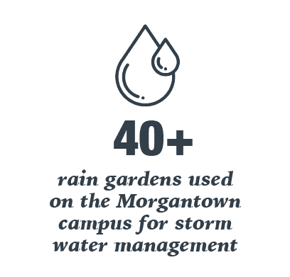 40+ rain gardens used on the Morgantown campus for storm water management