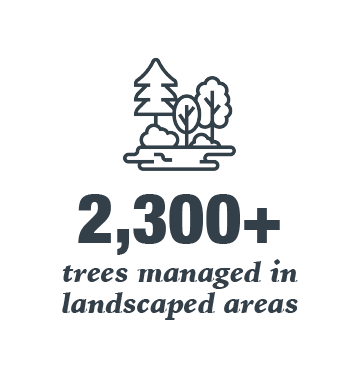 2,300+ trees managed in landscaped areas